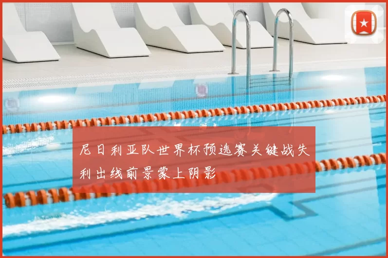 尼日利亚队世界杯预选赛关键战失利出线前景蒙上阴影