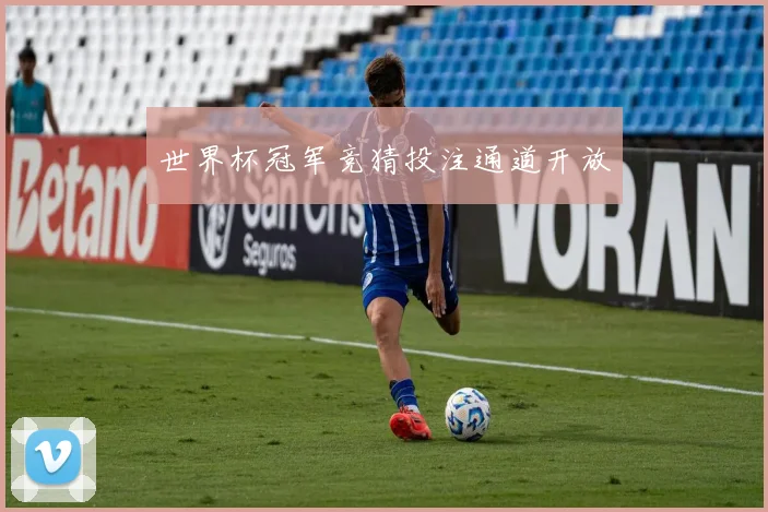 世界杯冠军竞猜投注通道开放